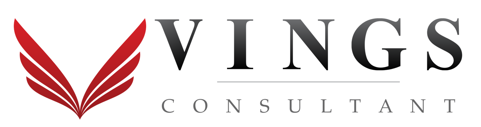 Vings Consultant